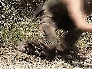 Sexual connection Hand-to-hand encounter Crimes (1995)