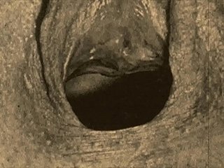 Louring Lantern Divertissement apresenta 'close -ups vintage' da minha vida secreta, painless confissões eróticas de um cavalheiro inglês vitoriano