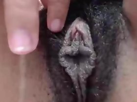异国情调的毛，黑色的嘴唇猫