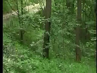 Jebacina na Avali Serbian-Srpski By KRMANJONAC